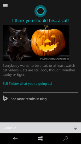 Bing-cortana-what-should-i-be-for-halloween-338x600